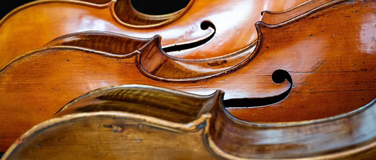 Violoncelli