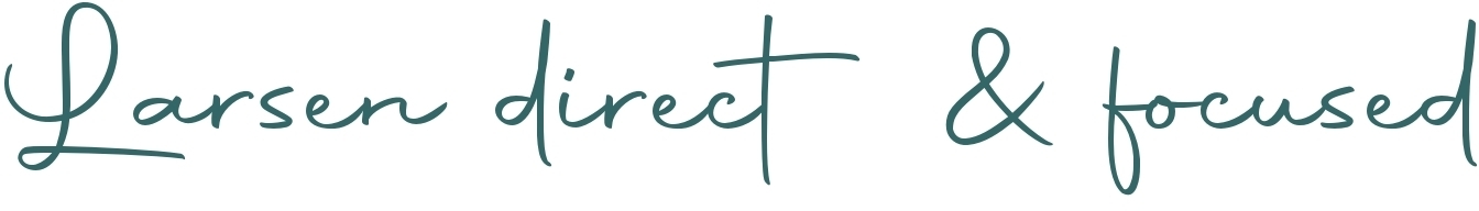 Larsen direct & focused Violoncello