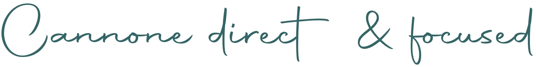 Larsen Il Cannone direct & focused Violine