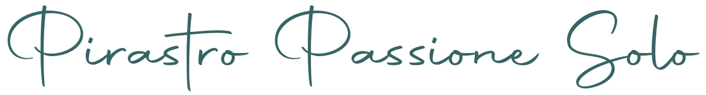 Pirastro Passione Solo Violine