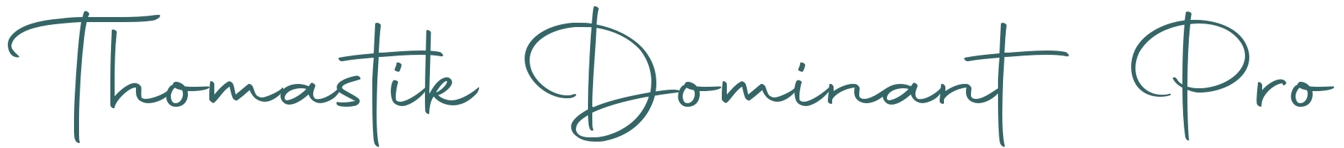 Dr.Thomastik Dominant Pro® Violine