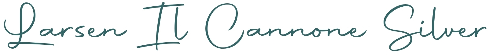 Larsen Il Cannone Silver Violine