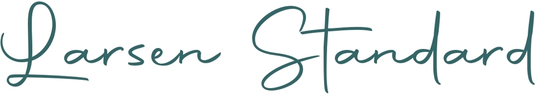 Larsen Standard Violine