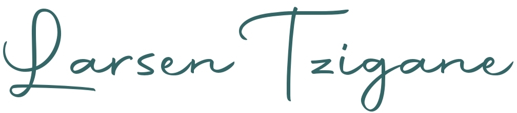 Larsen Tzigane Violine