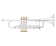Arnolds & Sons - Terra ATR-5200GSG Bb Trompete versilbert teilvergoldet