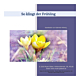 Musik Gläsel Mappe So klingt der Frühling