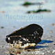 Veeh CD Irischer Wind