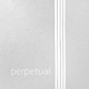 Pirastro Perpetual Satz Edition | Soloist Cello