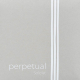 Pirastro Perpetual C-Saite Edition | Cadenza | Soloist Cello
