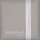 Pirastro Perpetual D-Saite Cello 
