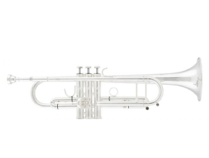 Arnolds & Sons Mundstück Trompete 7C kaufen