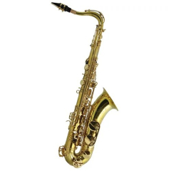 Trevor James Tenorsaxophon 384SR-KK SR