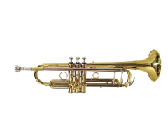 Stewart Ellis Pro Series Bb-Trompete Goldlack