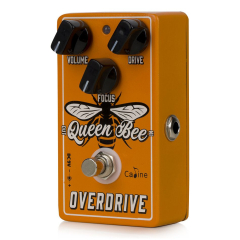 Caline CP-503 Queen Bee Overdrive