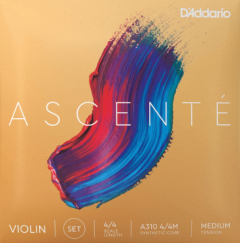 Daddario Ascente Violine Satz