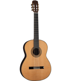 Martinez Madrid C Zeder | Palisander Konzertgitarre 