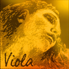 Pirastro Evah Gold Viola Saiten