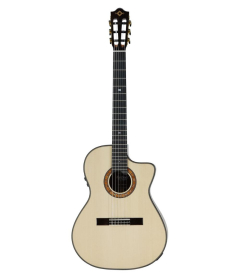 Martinez MP-14 Ziricote | Pickup