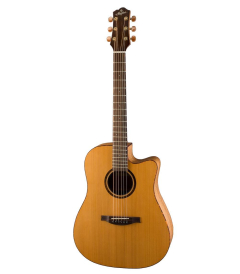 Stanford Westerngitarre Modell 46-D1-SM-ECW