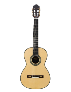 Martinez Torres 1859 Fichte | Palisander Konzertgitarre 