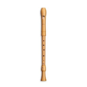 Mollenhauer 2466 Canta Tenor deutsch