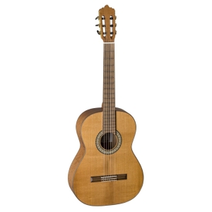 La Mancha Aliso macizo