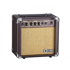 SHERWOOD 10 Akustikgitarren-Verstärker Combo
