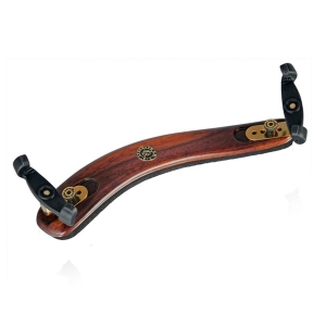 Augustin Artist | Violine oder Viola 