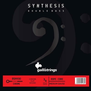 Galli Synthesis BSN-930 Satz Kontrabass 
