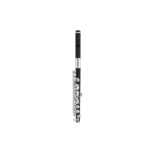 Jupiter JPC1010 Piccolo | Kopf & Korpus ABS