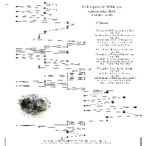 Es klappert die Mühle am rauschenden Bach Variationen 3-stimmig für Veeh Harfe