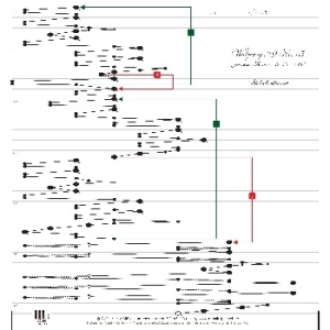 Brahms Walzer op.39 |15 für Veeh Harfe