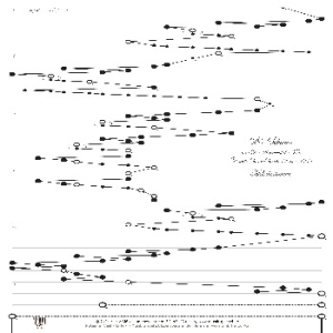 Saint-Saens Der Schwan für Veeh Harfe