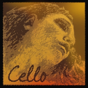 Pirastro Evah Gold Satz Cello