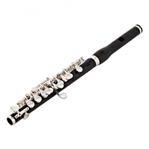 Trevor James 3TPGVR Piccolo 