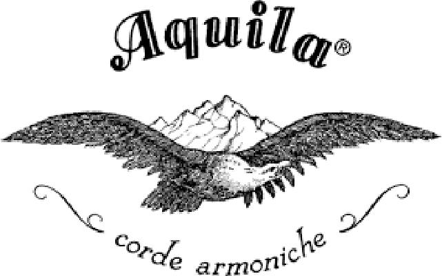 aquila